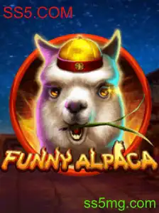Descubra o Fascinante Mundo de FunnyAlpaca